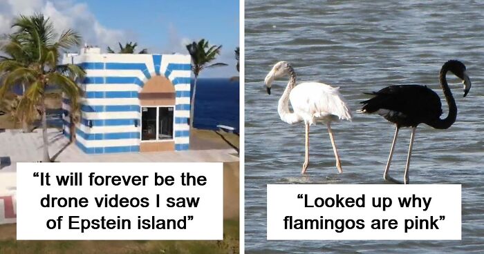 39 People Share The Most Interesting Rabbit Holes They’ve Ever Been Down