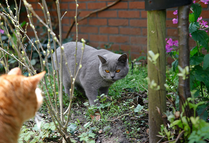 “I Never Felt Bad”: 59 Petty Acts Of Payback That Were Technically Wrong But Emotionally Correct