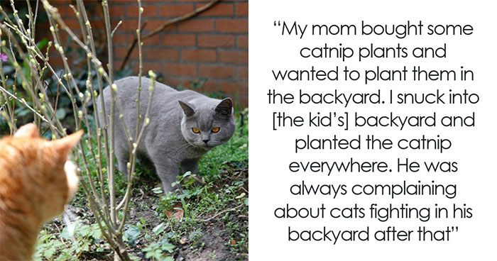 59 People Reveal The Most Impressive Petty Revenge They’ve Ever Pulled Off