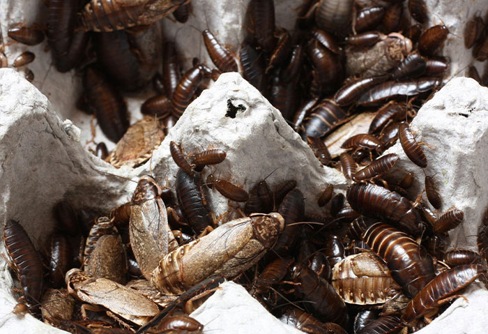 “I Never Felt Bad”: 59 Petty Acts Of Payback That Were Technically Wrong But Emotionally Correct