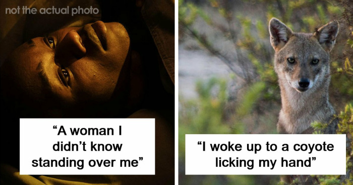 59 Times People’s Sleep Was Disturbed By The Funniest Or Most Terrifying Reasons