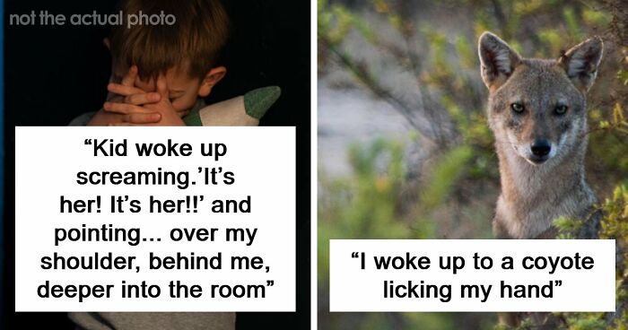 59 Times People’s Sleep Was Disturbed By The Funniest Or Most Terrifying Reasons