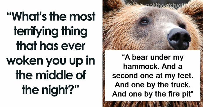 59 Times People’s Sleep Was Disturbed By The Funniest Or Most Terrifying Reasons
