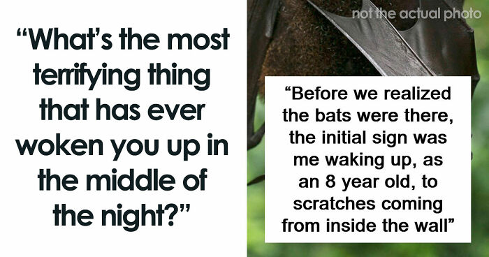 59 Times People’s Sleep Was Disturbed By The Funniest Or Most Terrifying Reasons
