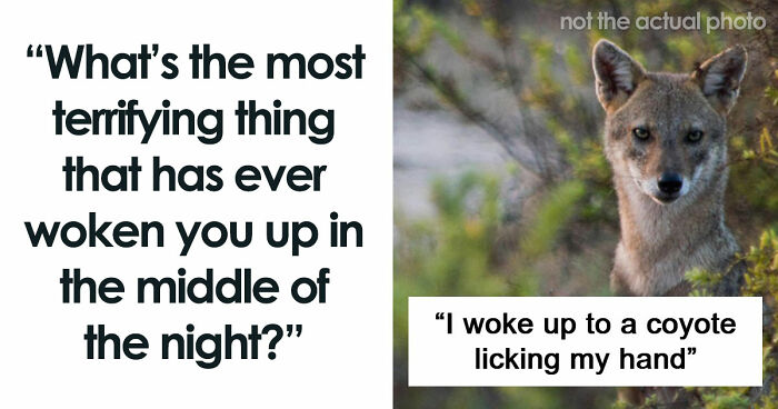 59 Times People’s Sleep Was Disturbed By The Funniest Or Most Terrifying Reasons