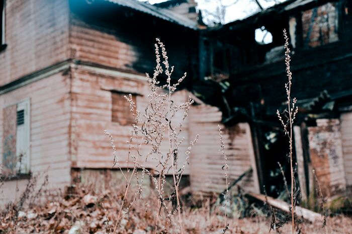Overgrown plants in front of a decaying abandoned building, evoking terrifying moments for urban explorers inside.