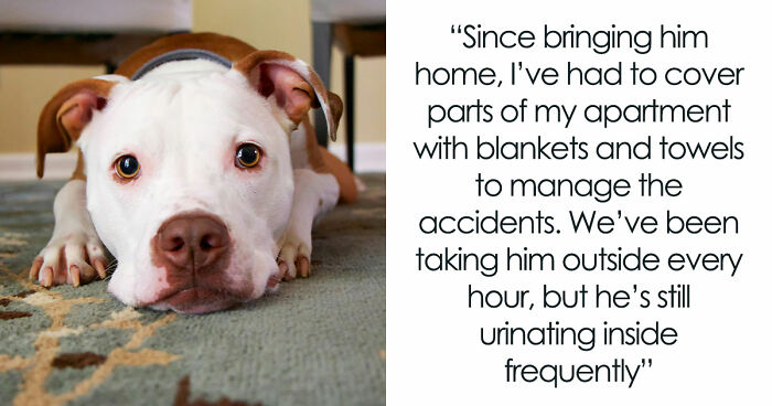 26YO Mad Enough To Cut Mom Off After She Lies About Dog’s UTI So That She Can Go On Trip