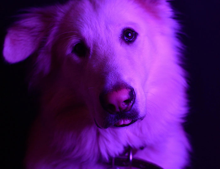 63 Horrible Neighbors Who Made Sharing The Same Neighborhood With Them Absolutely Miserable