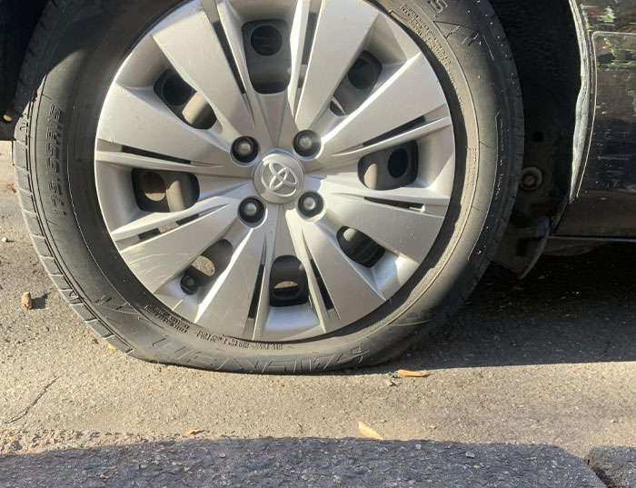 63 Horrible Neighbors Who Made Sharing The Same Neighborhood With Them Absolutely Miserable