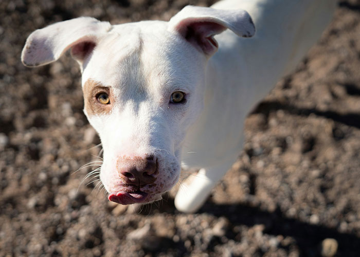 63 Horrible Neighbors Who Made Sharing The Same Neighborhood With Them Absolutely Miserable