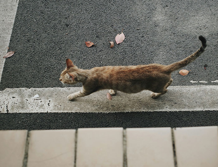 63 Horrible Neighbors Who Made Sharing The Same Neighborhood With Them Absolutely Miserable