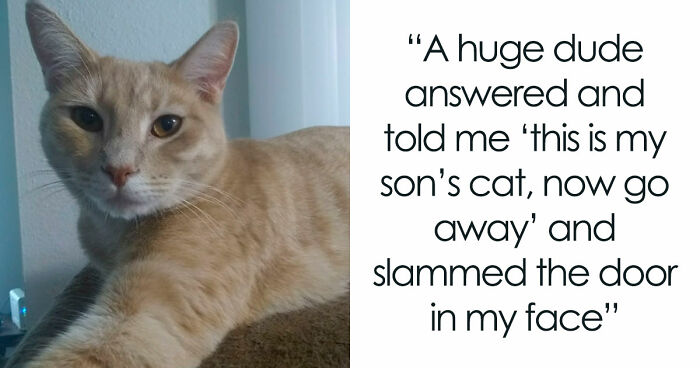 Entitled Family Steals Woman’s Cat, She Calls The Cops And Gets The Dad Arrested