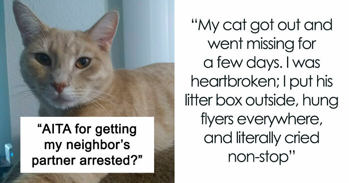 Entitled Family Steals Woman’s Cat, She Calls The Cops And Gets The Dad Arrested
