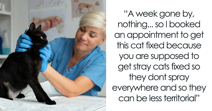 Furious Cat Owner Demands Vengeance After Neighbor Permanently Alters His Prized Pet