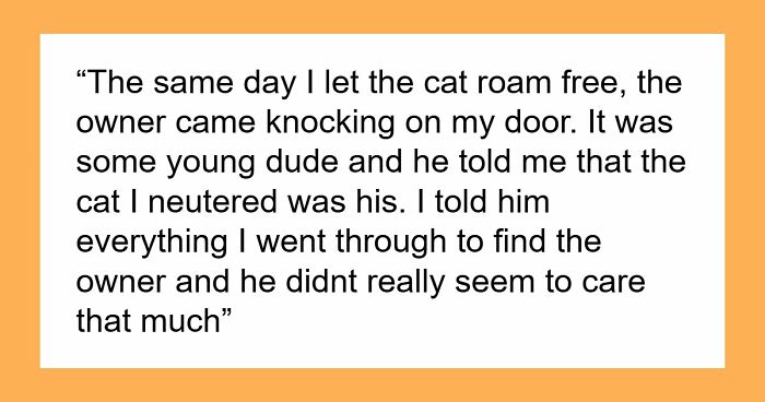 Neighborhood “Stray” Gets A Vet Visit And A Snip, Owner Shows Up Mad About Lost Litter Business