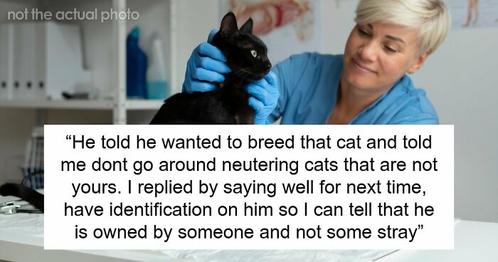 Neighborhood “Stray” Gets A Vet Visit And A Snip, Owner Shows Up Mad About Lost Litter Business