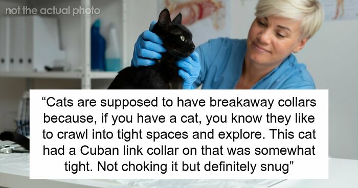 Furious Cat Owner Demands Vengeance After Neighbor Permanently Alters His Prized Pet