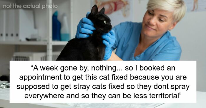 Neighborhood “Stray” Gets A Vet Visit And A Snip, Owner Shows Up Mad About Lost Litter Business
