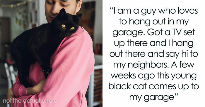 Neighborhood “Stray” Gets A Vet Visit And A Snip, Owner Shows Up Mad About Lost Litter Business