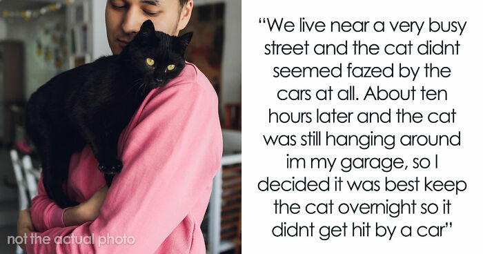 Furious Cat Owner Demands Vengeance After Neighbor Permanently Alters His Prized Pet