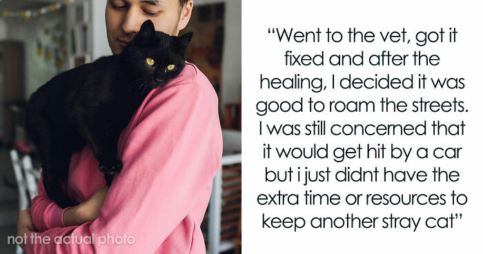 Furious Cat Owner Demands Vengeance After Neighbor Permanently Alters His Prized Pet