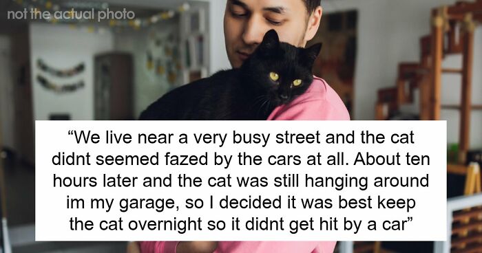 Neighborhood “Stray” Gets A Vet Visit And A Snip, Owner Shows Up Mad About Lost Litter Business