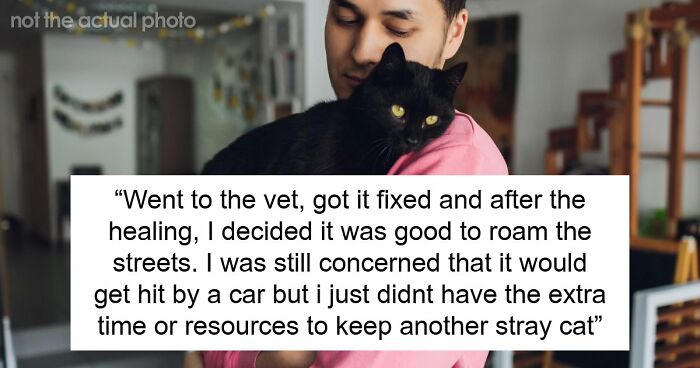 Furious Cat Owner Demands Vengeance After Neighbor Permanently Alters His Prized Pet