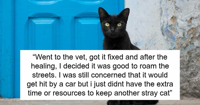 Negligent Breeder Explodes After Good Samaritan Accidentally Ruined His Feline Empire