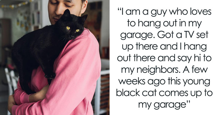 Neighborhood “Stray” Gets A Vet Visit And A Snip, Owner Shows Up Mad About Lost Litter Business