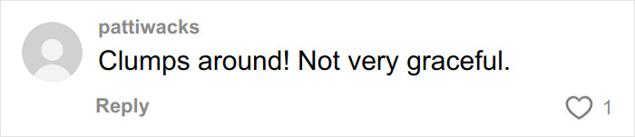 "Just Stomping Around": Nicole Kidman's Nepo Baby Daughter Brutally Roasted For Runway Walk "Just Stomping Around": Nicole Kidman's Nepo Baby Daughter Brutally Roasted For Runway Walk