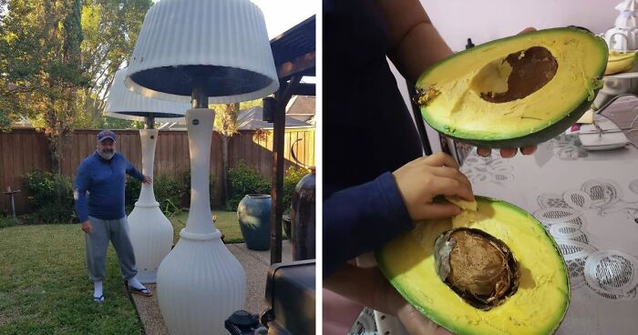 55 Huge Things You May Not Have Known Came In Such Big Sizes