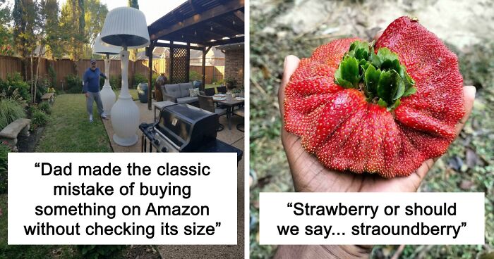 55 Huge Things You May Not Have Known Came In Such Big Sizes