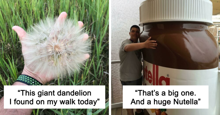 55 Huge Things You May Not Have Known Came In Such Big Sizes