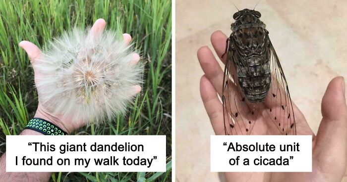 55 Huge Things You May Not Have Known Came In Such Big Sizes