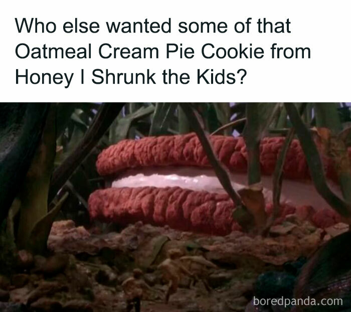Oatmeal Cream Pie Cookie from Honey I Shrunk the Kids movie scene, nostalgic millennial childhood memory.