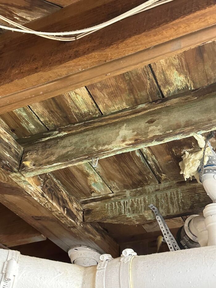 “I've Watched Enough Movies To Know It Won't End Well”: 79 Bizarre And Creepy Things People Found In Old Homes