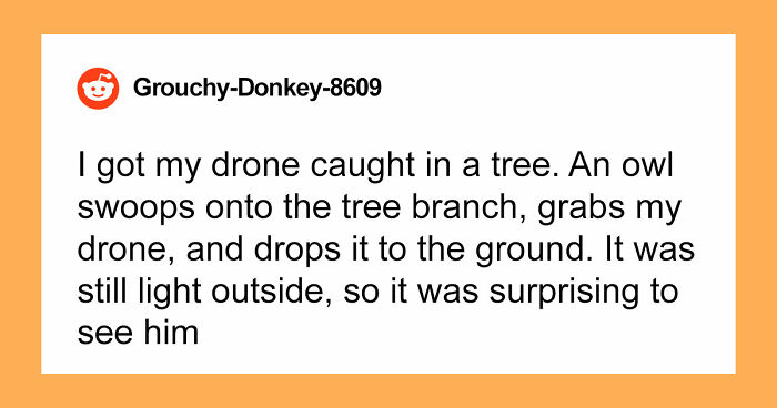 67 True Stories That Sound So Bizarre Nobody Believed Them