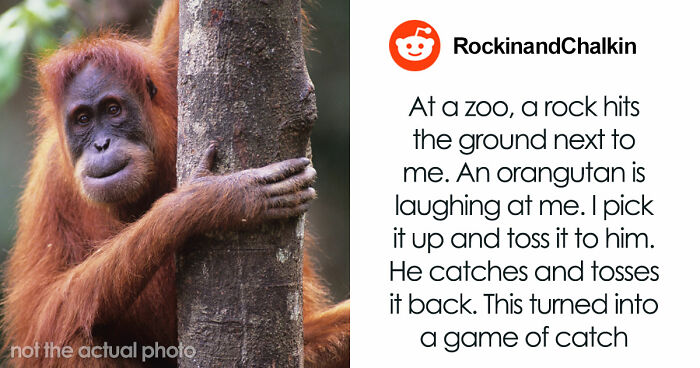 67 True Stories That Sound So Bizarre Nobody Believed Them