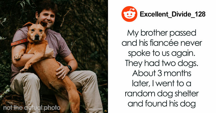 67 Things People Saw That Are So Absurd, Nobody Believes Them