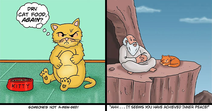 30 One-Panel Comics That Anyone Who Has Ever Been Judged By A Cat Will Instantly Relate To