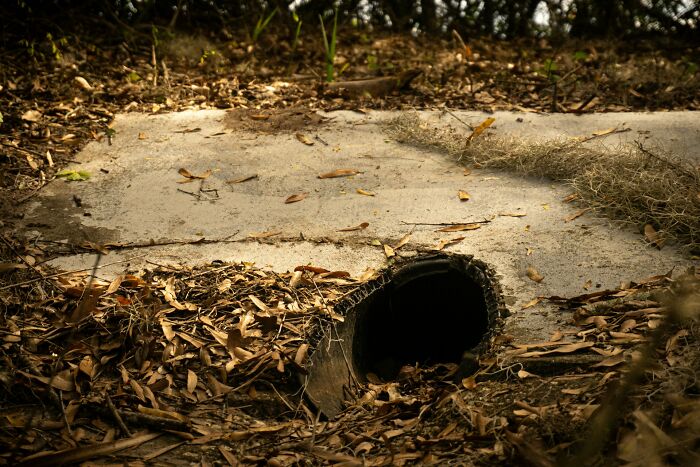 Concrete drainage pipe surrounded by dry leaves and grass, symbolizing karma and sabotage backfiring in nature.