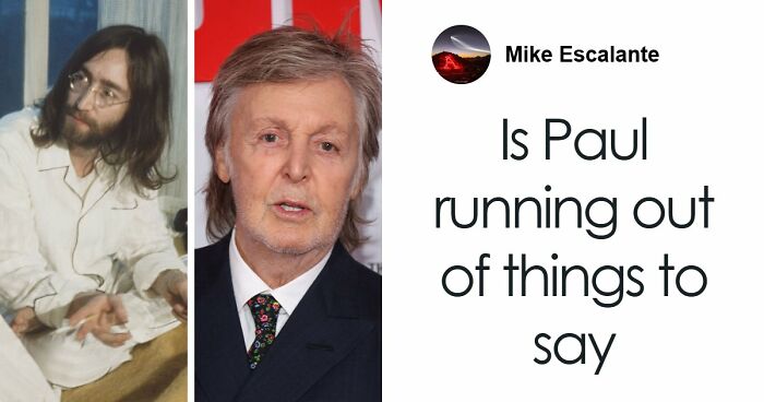 After Surviving Cruelty, This Dog Found Safety, Love, And A Reunion No One Expected