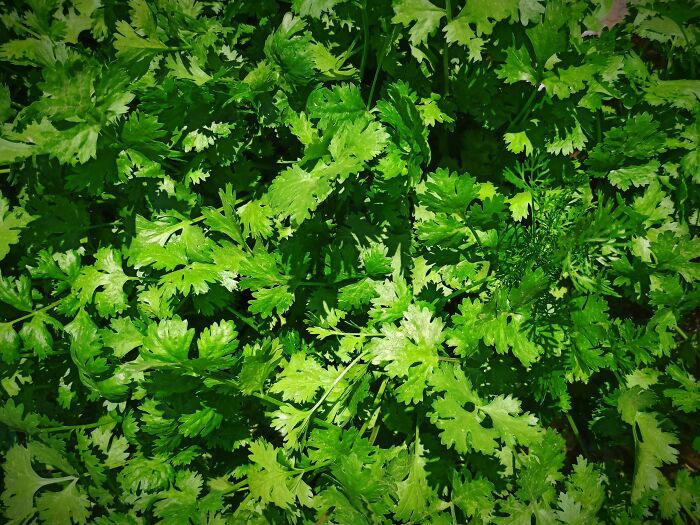 42 Immediate Ick Moments That Made People Rule Out Romance With A Person Completely