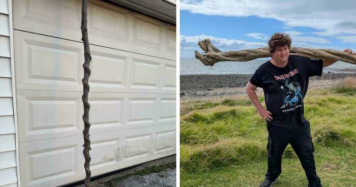 “Did I Win The Stick Lottery”: 57 Incredible Sticks People Have Been Lucky Enough To Find