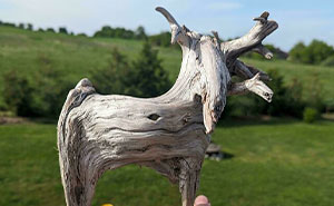 “Did I Win The Stick Lottery”: 57 Incredible Sticks People Have Been Lucky Enough To Find