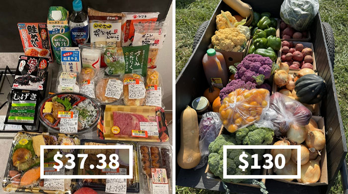 99 People Show What Groceries Cost In Their Country And It’s Wild (New Pics)
