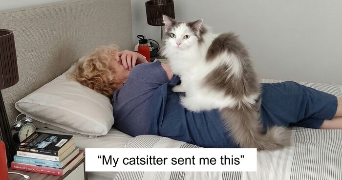 47 Hilarious Pics Of Pets Living Rent-Free And Performing Like Ungrateful Hooligans