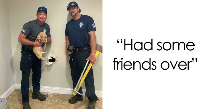 47 Hilarious Pics Of Pets Living Rent-Free And Performing Like Ungrateful Hooligans