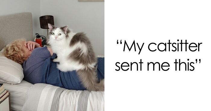 47 Hilarious Pics Of Pets Living Rent-Free And Performing Like Ungrateful Hooligans