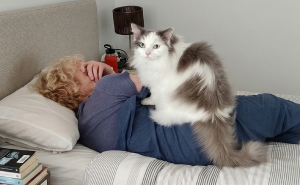 47 Times Pets Were Publicly Shamed For Their Hilariously ‘Horrible Crimes’